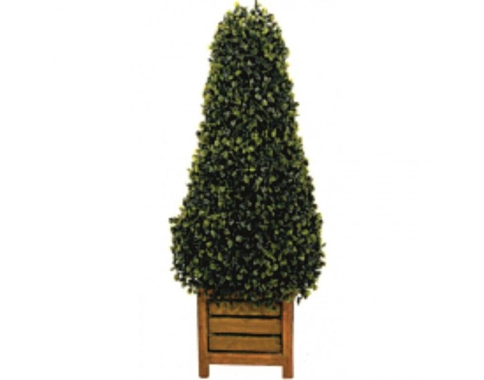 Растения АРТ ДЕКОРАЦИЯ >> ICNT 16028 Растения АРТ ДЕКОРАЦИЯ >> ICNT 16028