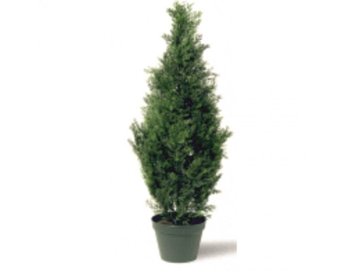 Растения АРТ ДЕКОРАЦИЯ >> ICNT 16029 Растения АРТ ДЕКОРАЦИЯ >> ICNT 16029