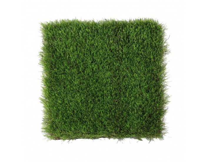 Растения АРТ ДЕКОРАЦИЯ >> ICNT 151094 Растения АРТ ДЕКОРАЦИЯ >> ICNT 151094