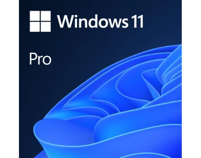 Microsoft Windows 11 Pro 64Bit English 1pk DSP OEI DVD