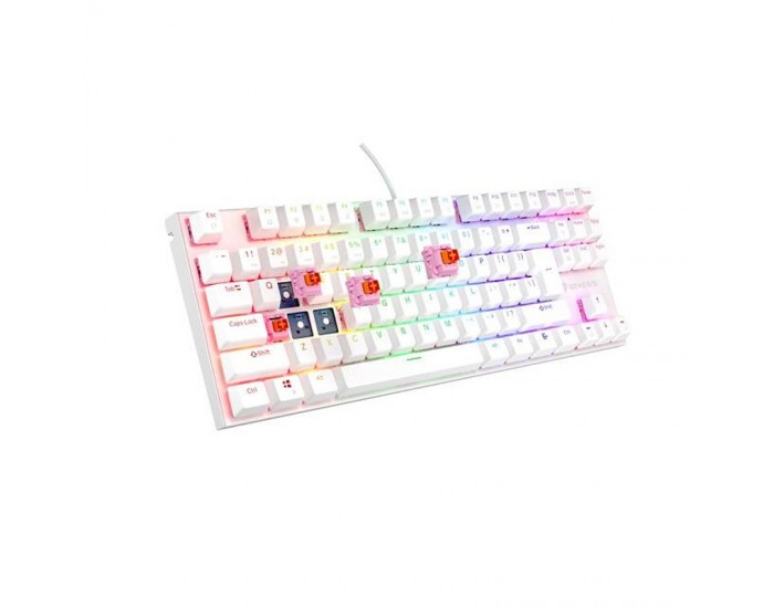 Клавиатура Genesis Mechanical Gaming Keyboard Thor 303 TKL RGB, Silent