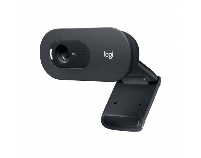 WEB камера Logitech C505 960-001364