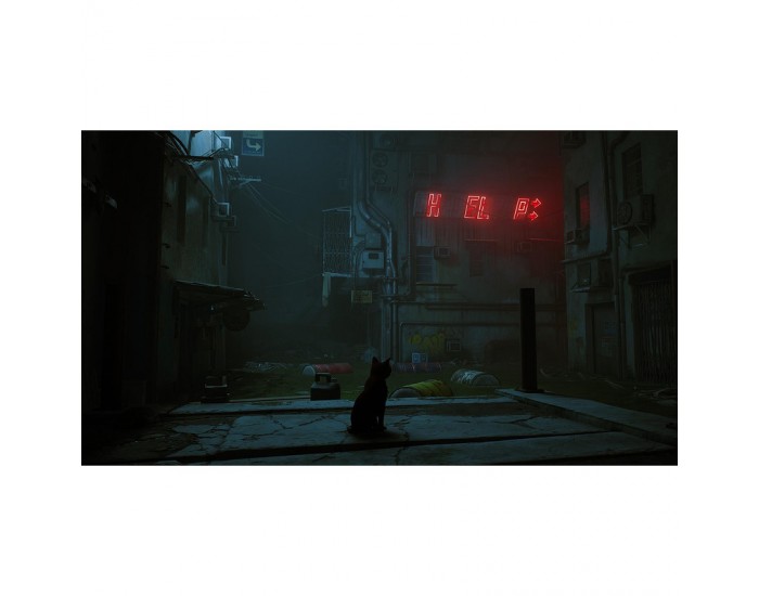 Игра Stray (NSW)