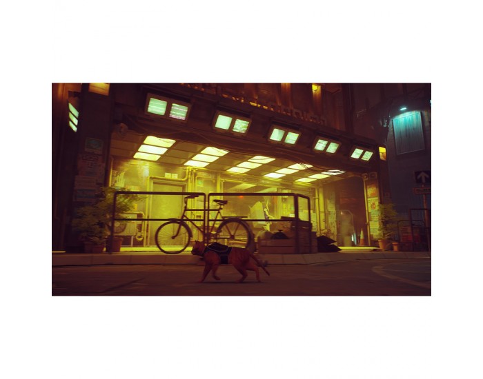 Игра Stray (NSW)