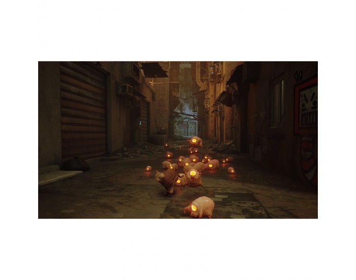 Игра Stray (NSW)