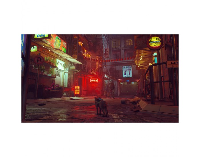 Игра Stray (NSW)