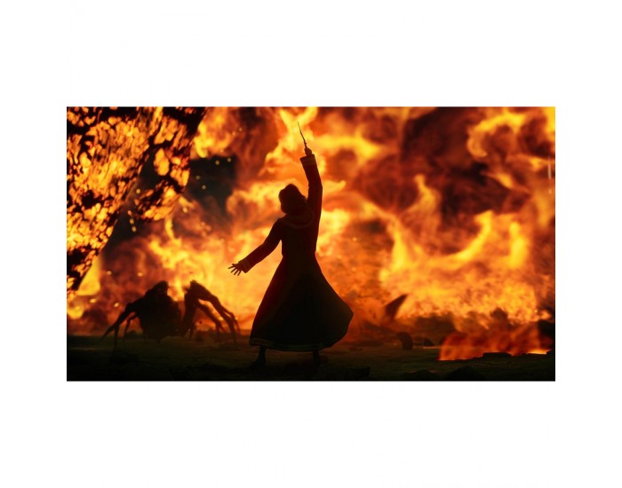 Игра Hogwarts Legacy (XBOX X)