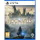 Игра Hogwarts Legacy (PS5)
