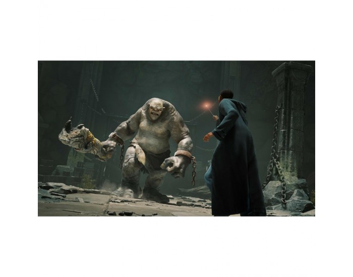 Игра Hogwarts Legacy (PS5)