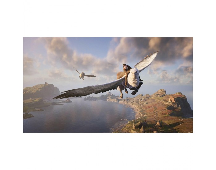 Игра Hogwarts Legacy (PS4)