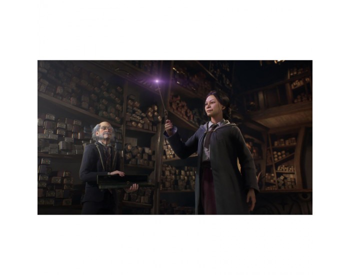 Игра Hogwarts Legacy (PS4)