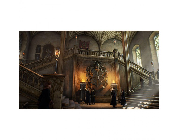 Игра Hogwarts Legacy (PS4)