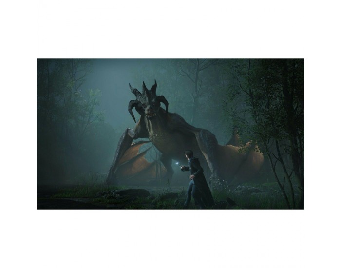 Игра Hogwarts Legacy (PS4)