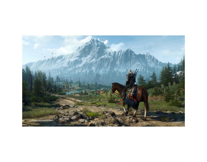 Игра The Witcher 3 Wild Hunt Complete Ed. (PS5)