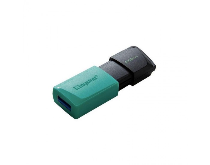Памет USB Kingston DTXM 256GB