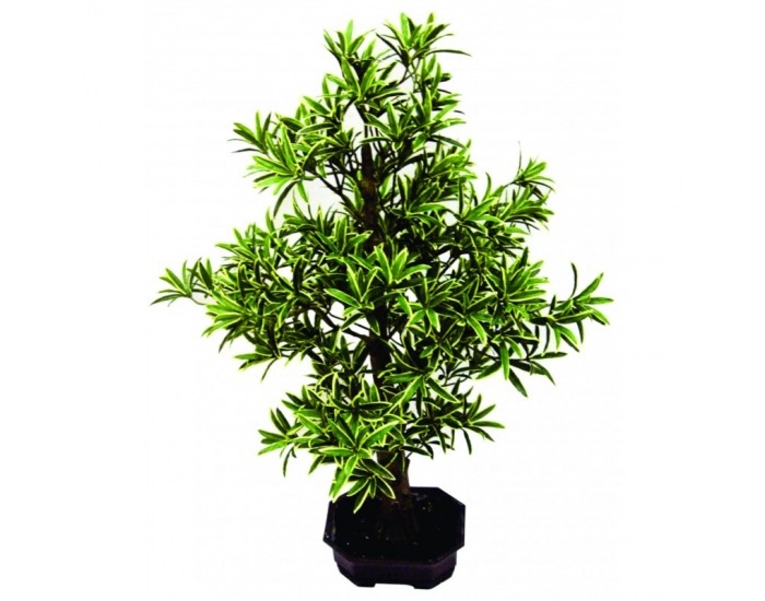 Растения Natural Touch >> ICNT 16434