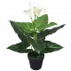 Sonata Изкуствено растение кала със саксия, 45 см, бяло -
