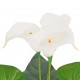 Sonata Изкуствено растение кала със саксия, 85 см, бяло -
