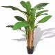 Sonata Изкуствено растение банан със саксия, 175 см, зелено -