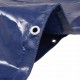 Sonata Брезентово платнище, 650 гр/м², 2x3 м, цвят син -