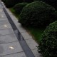 Sonata Градински осветители за вграждане в земя, 12 бр, квадратни -