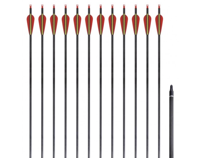 Стандартни стрели за лък 0,76 см карбонови 12 бр. -