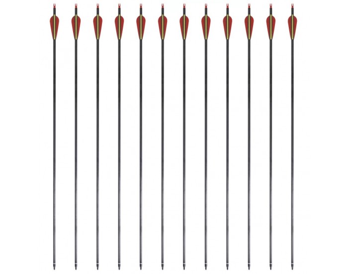 Стандартни стрели за лък 0,76 см карбонови 12 бр. -