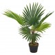 Sonata Изкуствено растение палма със саксия, зелено, 70 см -