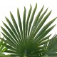 Sonata Изкуствено растение палма със саксия, зелено, 70 см -