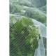 Nature Мрежа против насекоми срещу ябълков миниращ молец, 6030450 Nature Мрежа против насекоми срещу ябълков миниращ молец, 6030450