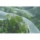 Nature Мрежа против насекоми срещу ябълков миниращ молец, 6030450 Nature Мрежа против насекоми срещу ябълков миниращ молец, 6030450