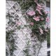 Nature Градинска пергола, 100x200 см, PVC, бяла, 6040703 Nature Градинска пергола, 100x200 см, PVC, бяла, 6040703