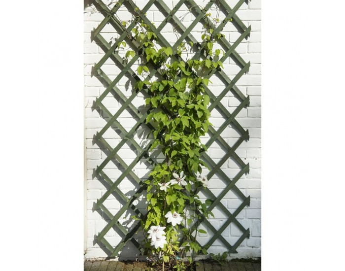 Nature Градинска решетка за цветя, 50x150 см, дърво, зелена