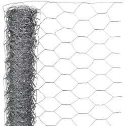 Nature Телена мрежа хексагонална 0,5x10 м 25 мм поцинкована стомана - Градина