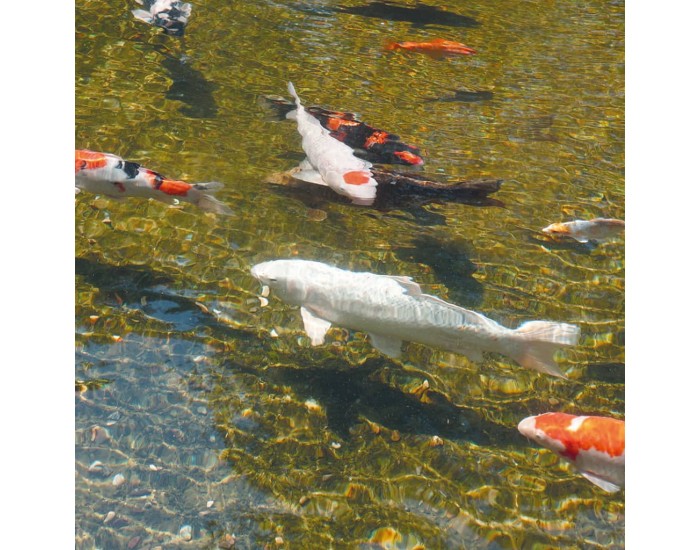 Ubbink AlgClear UV-C единица 55000 55 W 1355142