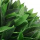 Sonata Изкуствено растение лавър със саксия, зелено, 130 см