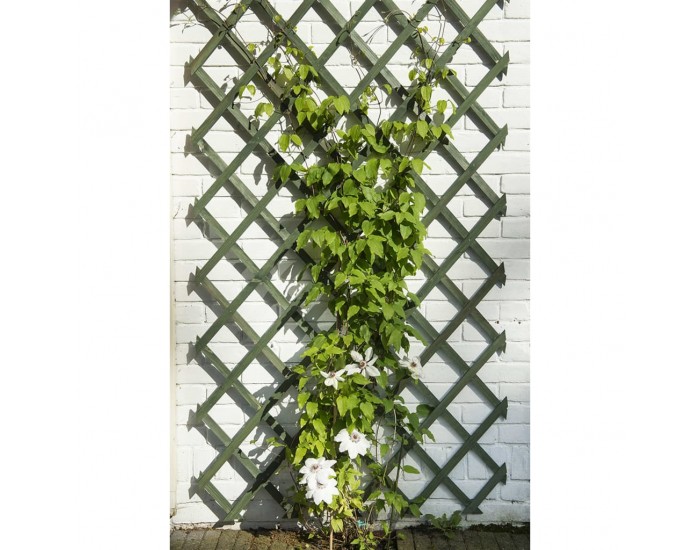 Nature 2 бр градински решетки за цветя, дърво, зелени, 50x150 см