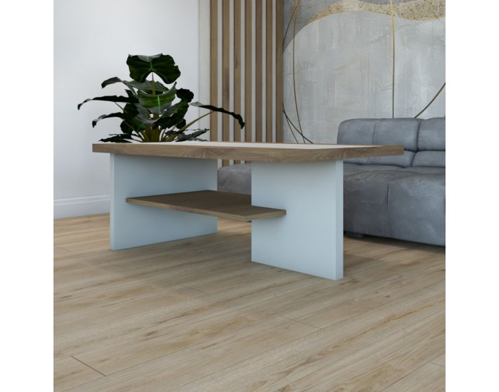 Холна маса Линея