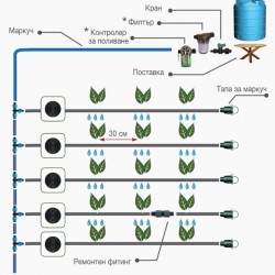 Система за капково напояване Primaterra Linea 50 метра - Veko Power