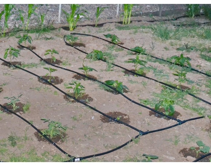 Система за капково напояване Primaterra Linea 50 метра - Инструменти, Аксесоари за градината
