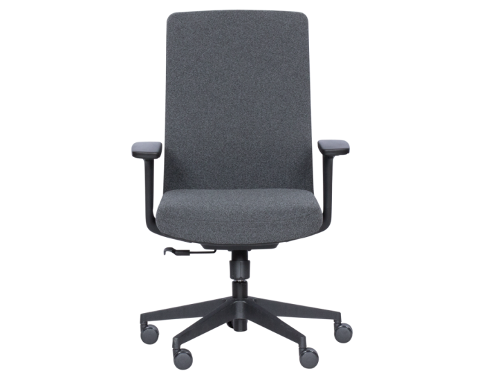 Ергономичен стол CORK - графит