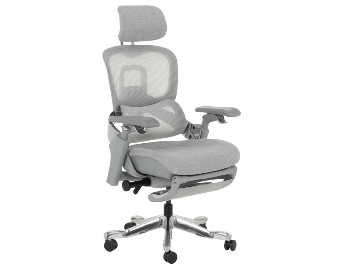 Ергономичен стол DOLE W - сив