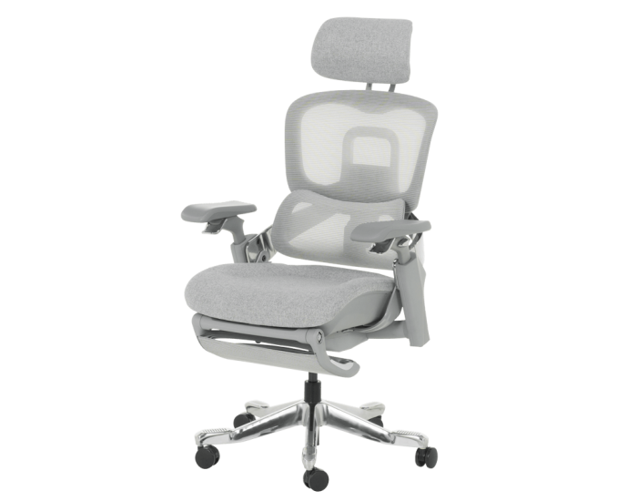 Ергономичен стол DOLE W - сив