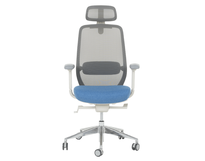 Ергономичен стол GLAND - син-сив