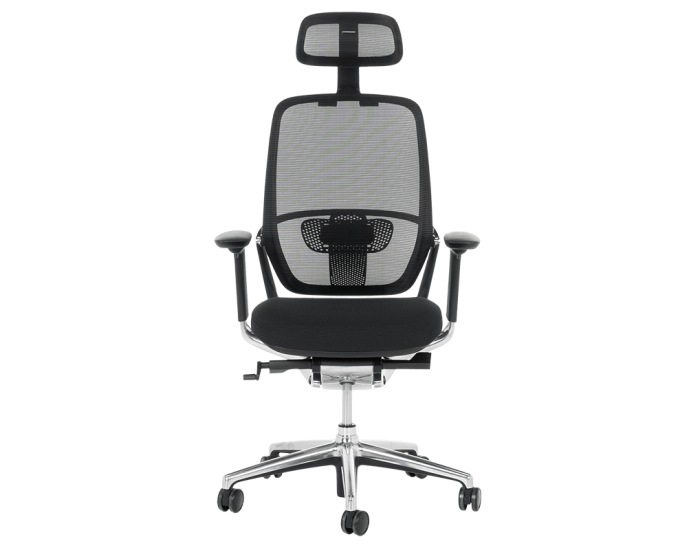 Ергономичен стол VAUD - черен