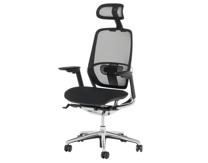 Ергономичен стол VAUD - черен