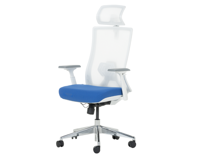 Ергономичен стол TATUI - син