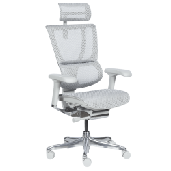 Ергономичен стол ERGOHUMAN IOO ELITE 2 - сива рамка - сив - Офис столове
