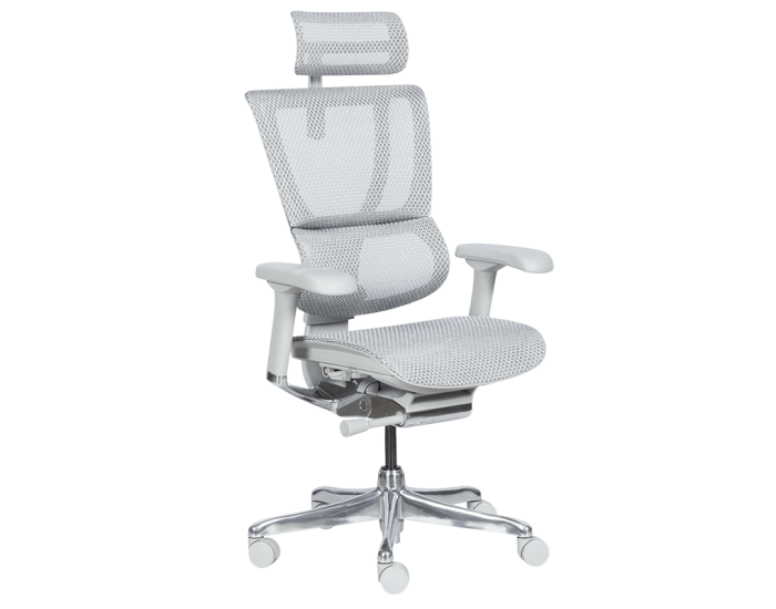 Ергономичен стол ERGOHUMAN IOO ELITE 2 - сива рамка - сив