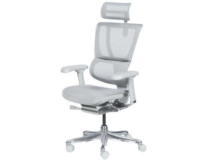 Ергономичен стол ERGOHUMAN IOO ELITE 2 - сива рамка - сив